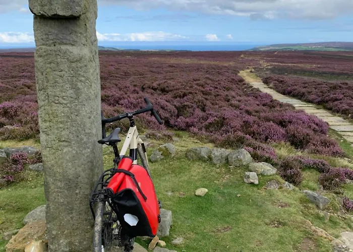 The Nook Дом отдыха Broxa